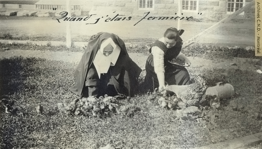 Une religieuse et son élève nourrissant des poules et des poussins à la ferme de l'École normale classico-ménagère
