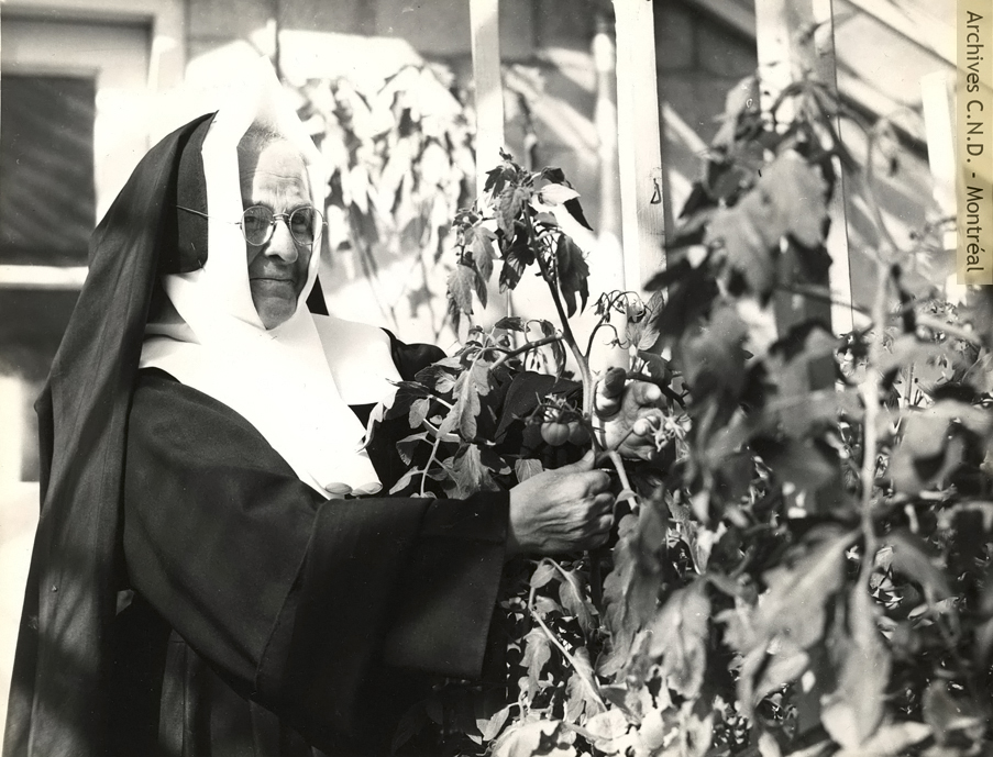 Sister Sainte-Godefroy (Marie-Louise-Joséphine Boisvert), head of the farm at Institut familial Chanoine-Beaudet