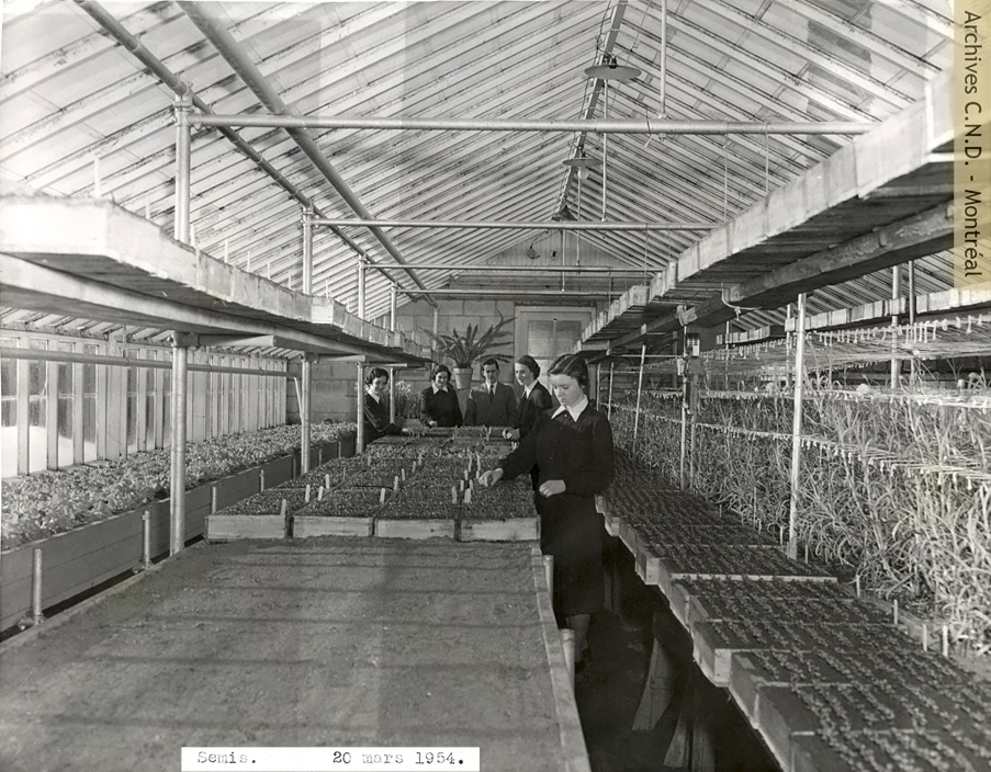 Preparation of seedlings in the greenhouse at Institut familial Chanoine-Beaudet