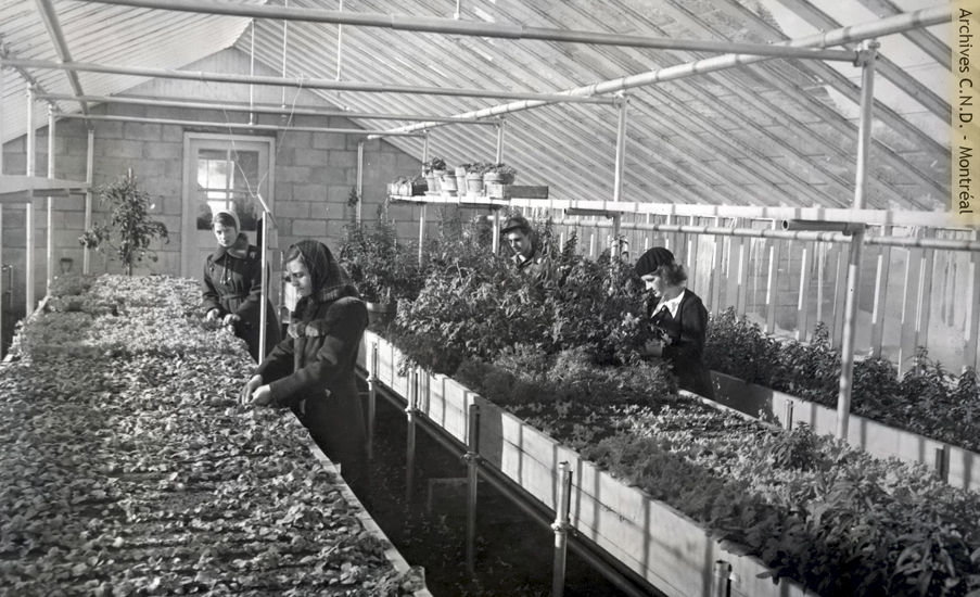 Students in the greenhouse at École normale classico-ménagère farm