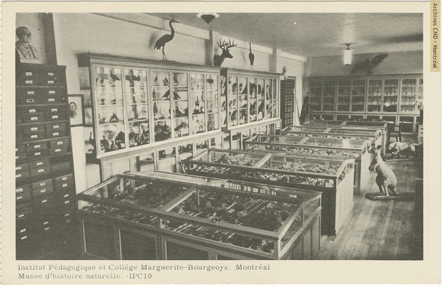 Natural History Museum at Institut pédagogique and collège Marguerite-Bourgeoys
