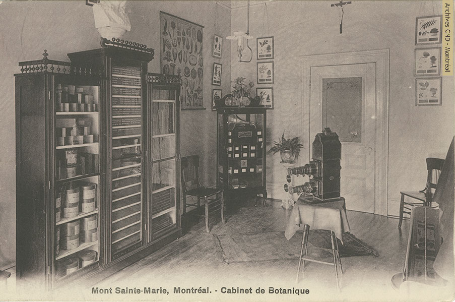 Cabinet de botanique du pensionnat Mont Sainte-Marie
