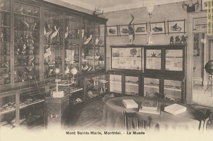 Natural History Museum at pensionnat Mont Sainte-Marie