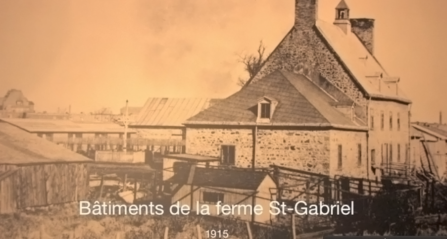 La fundación de las granjas de la Congrégation de Notre-Dame : entrevista con Hermana Madeleine Juneau
