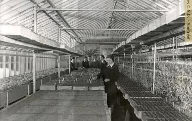 Préparation des semis à la serre de l'Institut familial Chanoine-Beaudet