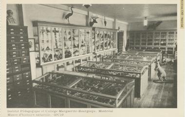 Natural History Museum at Institut pédagogique and collège Marguerite-Bourgeoys
